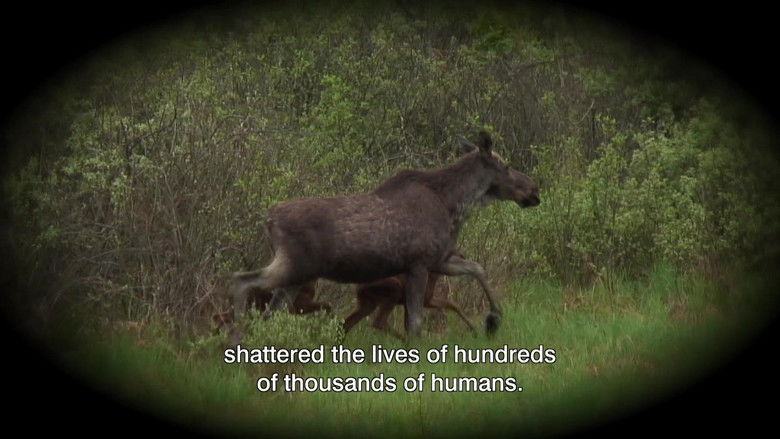 кадр из фильма Nature Fights Back In Chernobyl