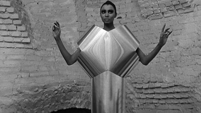 кадр из фильма Кто вы, Полли Магу?