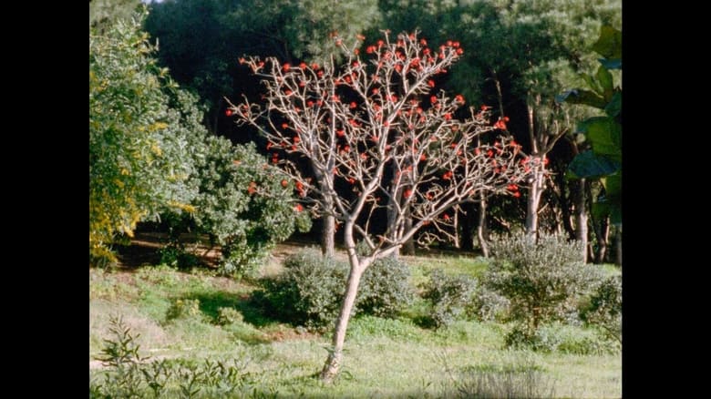 кадр из фильма الحديقة السريّة