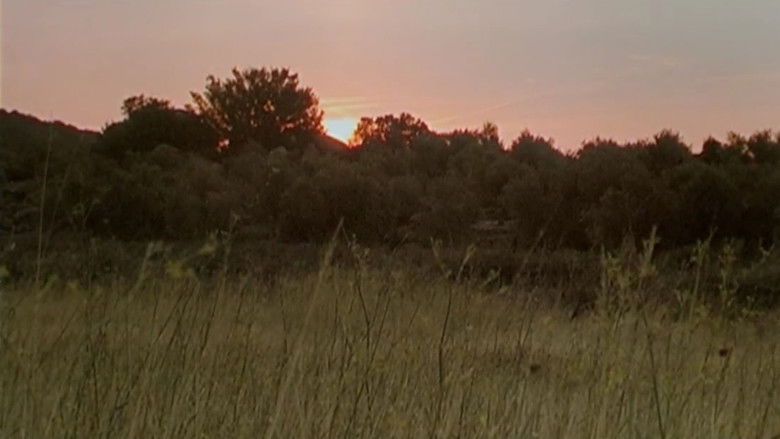 кадр из фильма Рыцарская честь