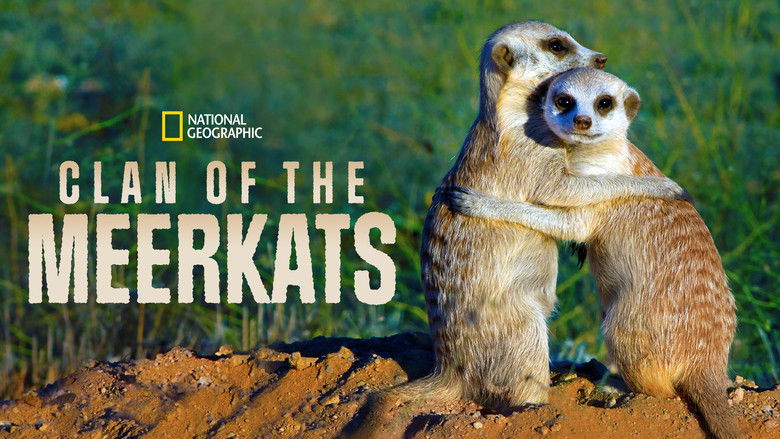 кадр из фильма Clan of the Meerkat