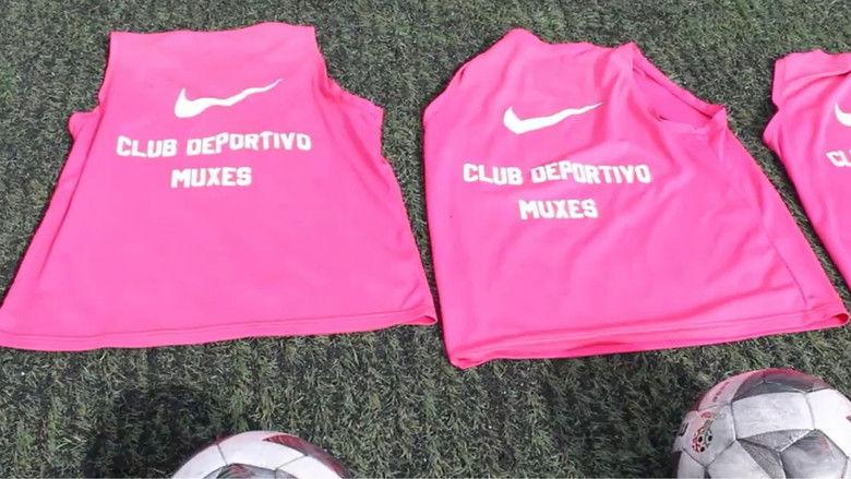 кадр из фильма Le rose, le bleu