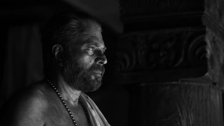 кадр из фильма Брамаюгам. Эпоха безумия