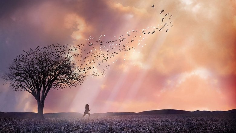 кадр из фильма Милые кости