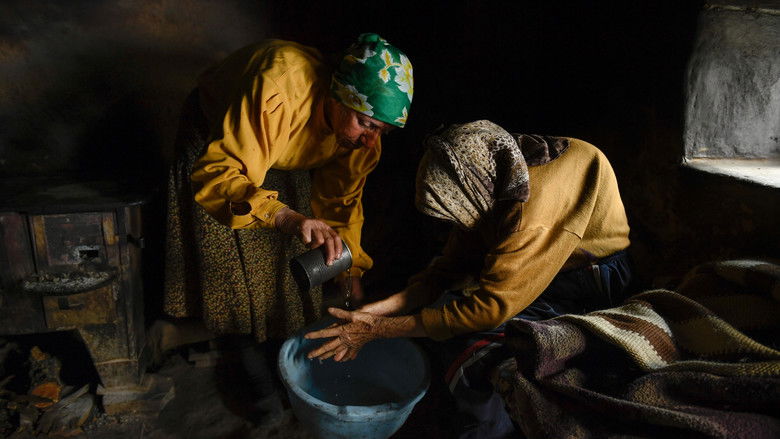 кадр из фильма Страна меда