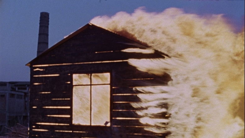 кадр из фильма Λήθη