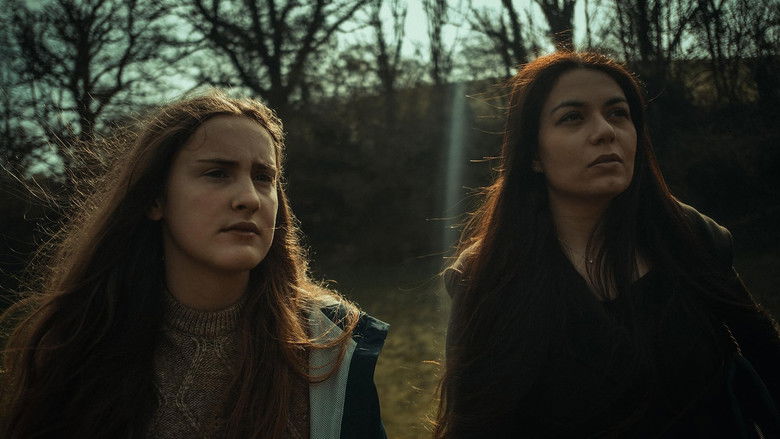 кадр из фильма The Winter Witch