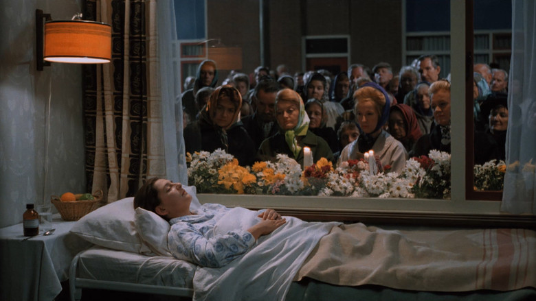 кадр из фильма Северяне