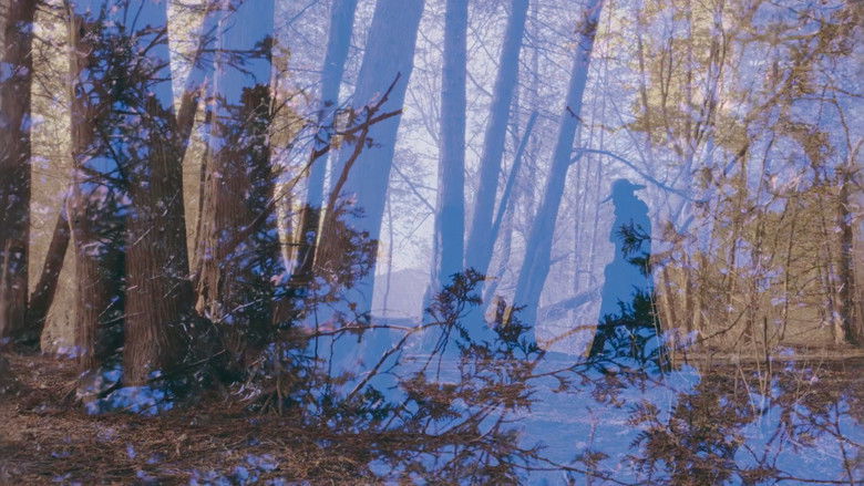 кадр из фильма Cold Days From the Treetops