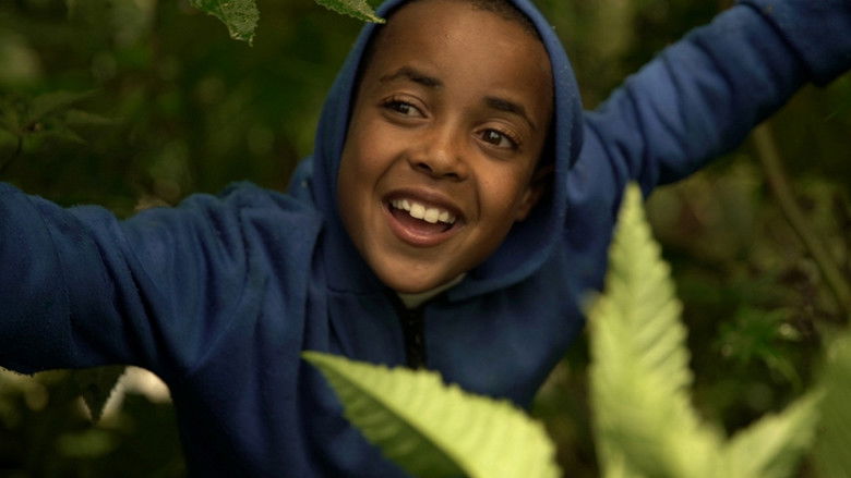 кадр из фильма Anbessa