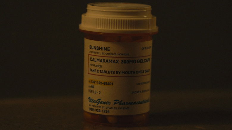 кадр из фильма Breaking Character