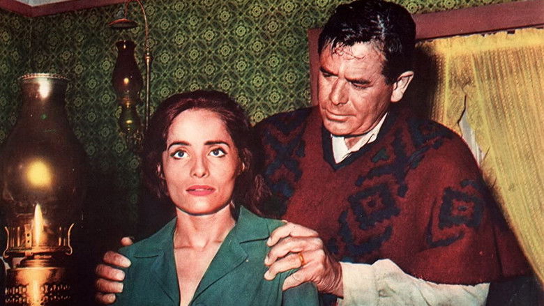 кадр из фильма Day of the Evil Gun