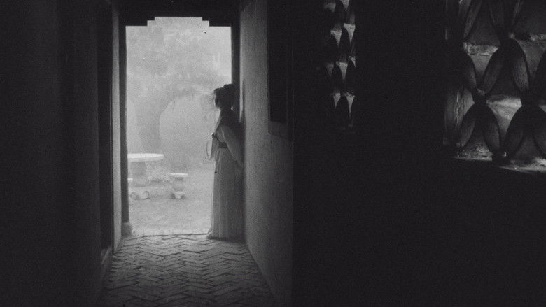 кадр из фильма 董夫人