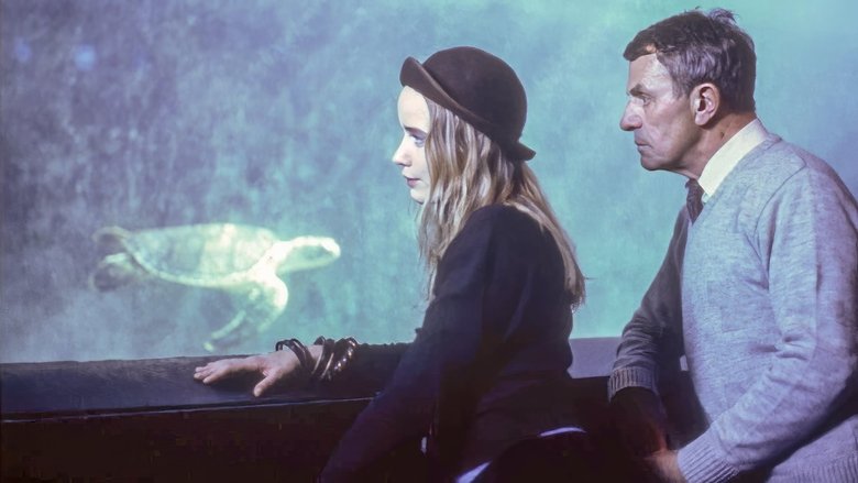 кадр из фильма Im Jahr der Schildkröte