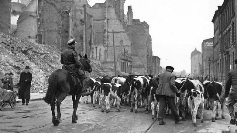 кадр из фильма The Savage Peace