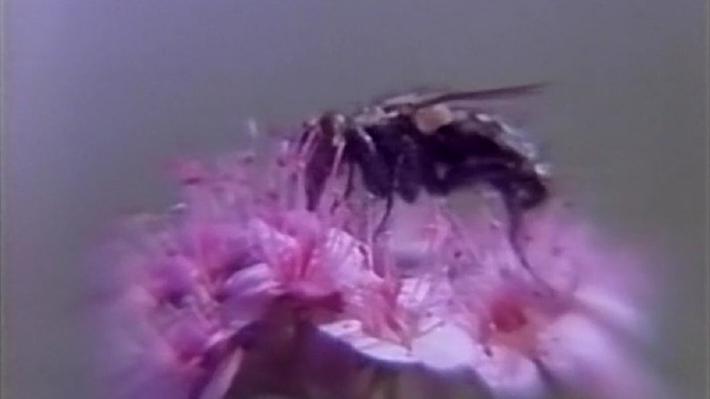 кадр из фильма やわらかい肌