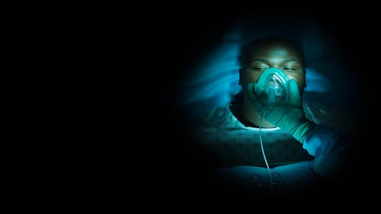 кадр из фильма 12 Days with God