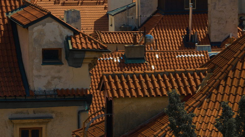 кадр из фильма Ptáci milují střechy