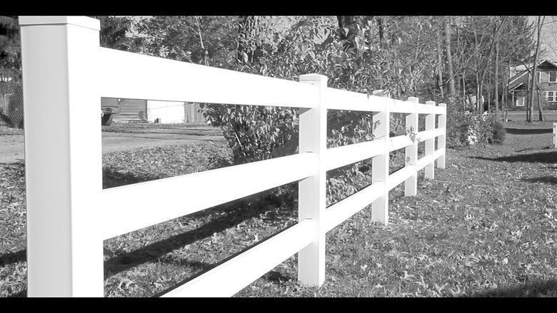 кадр из фильма 71