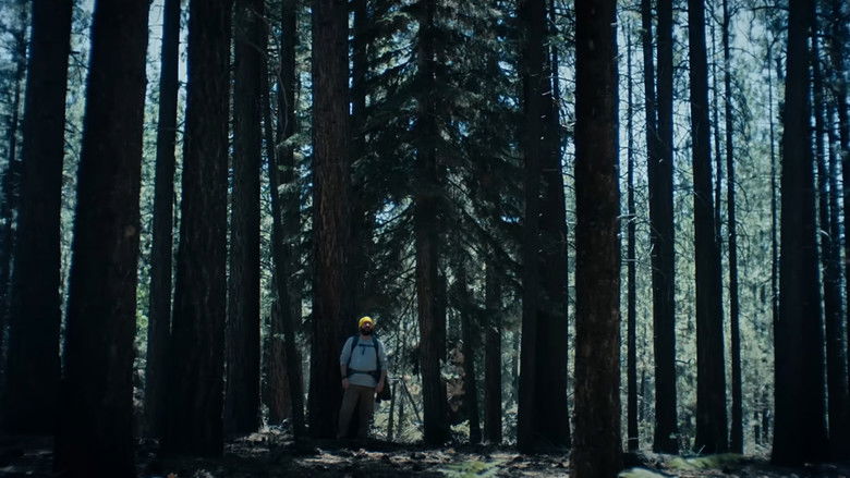 кадр из фильма The Hidebehind