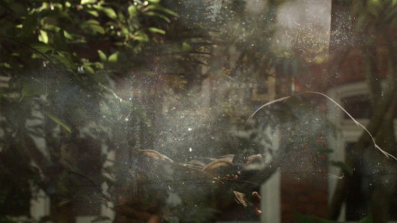 кадр из фильма Ada Kaleh