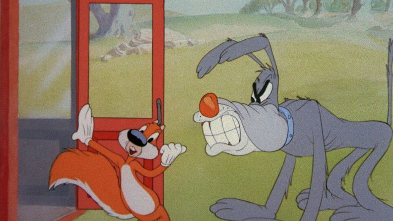 кадр из фильма Бешеная белка