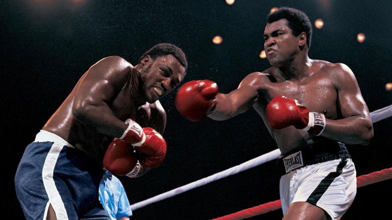 кадр из фильма Thrilla in Manila