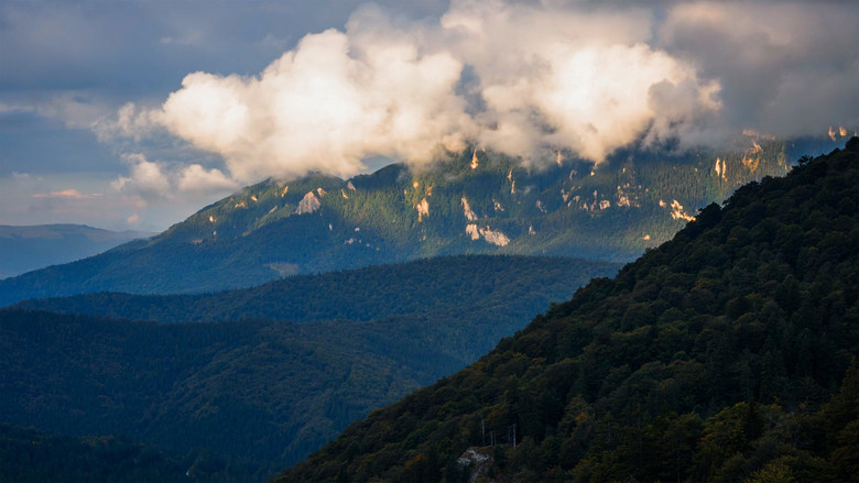 кадр из фильма România neîmblânzită
