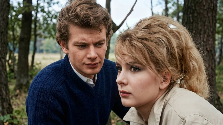 кадр из фильма Şoför Nebahat ve Kızı