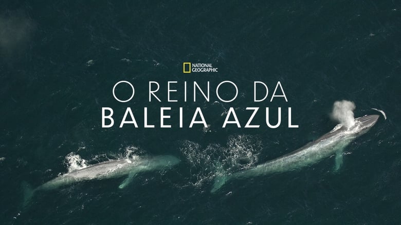 кадр из фильма Kingdom of the Blue Whale