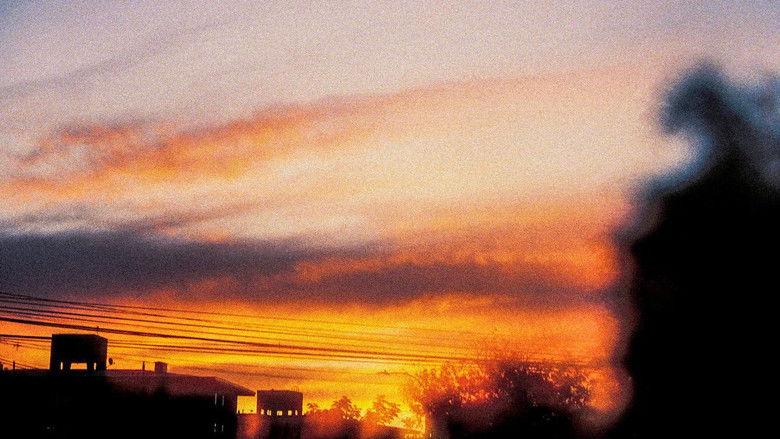 кадр из фильма Dia y Fin