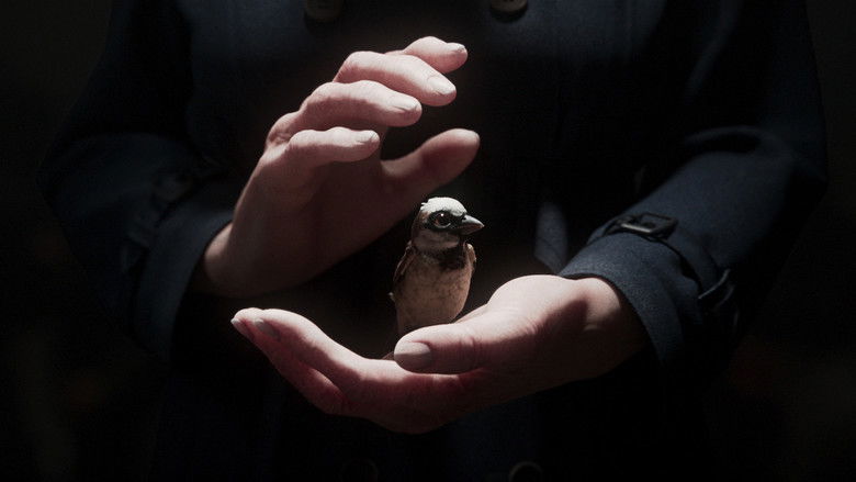 кадр из фильма A Sparrow’s Song