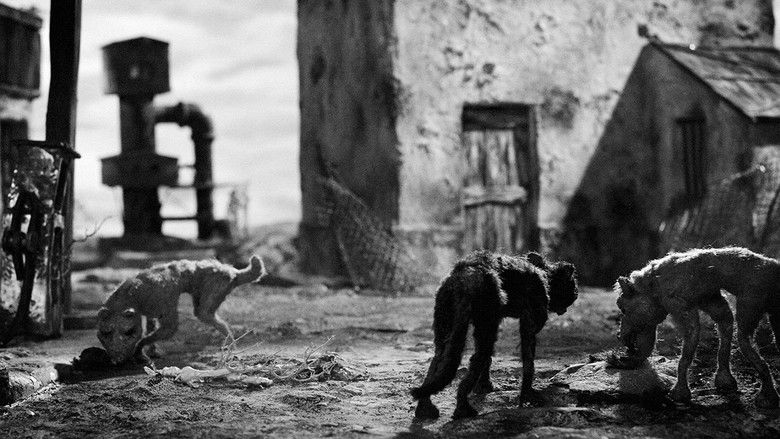 кадр из фильма Canis