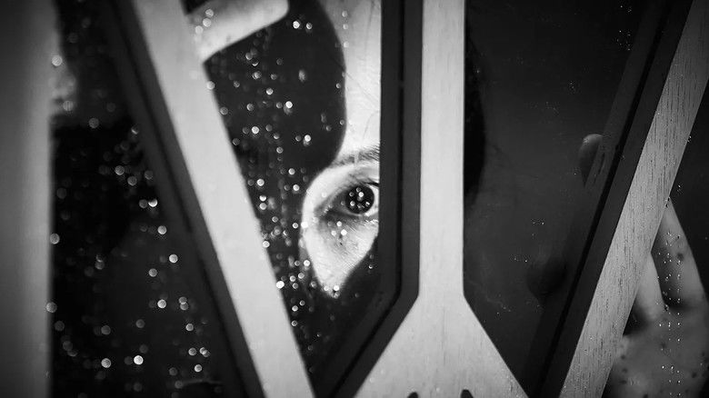 кадр из фильма В паутине