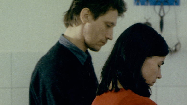 кадр из фильма Das Glück meiner Schwester