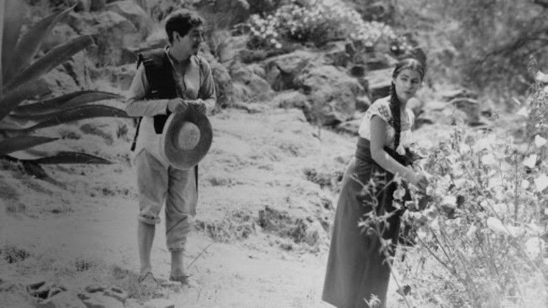 кадр из фильма La Mujer Que Yo Perdí