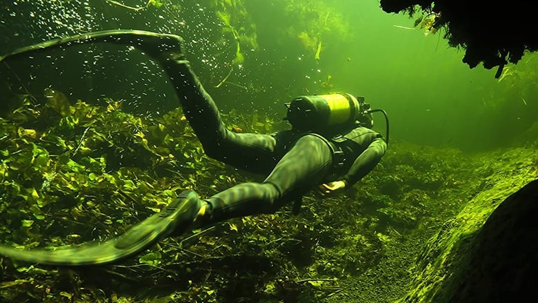 кадр из фильма Underwater Okavango