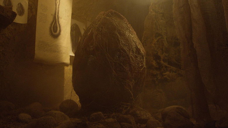 кадр из фильма David's Lab - Last Signs of Life