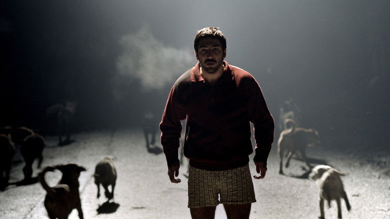 кадр из фильма Безумие