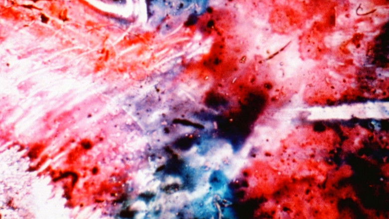 кадр из фильма I Take These Truths