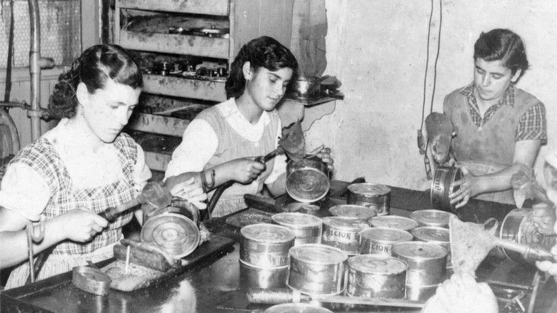 кадр из фильма Testemuñas dunha illa