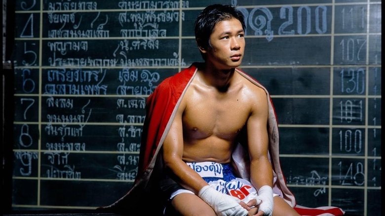 кадр из фильма Прекрасный боксер