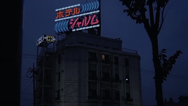 ラブホテル　只今満室