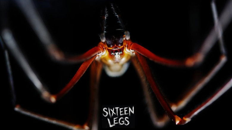 кадр из фильма Sixteen Legs