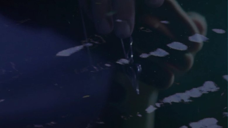 кадр из фильма Seeing Through the Mists of Oblivion