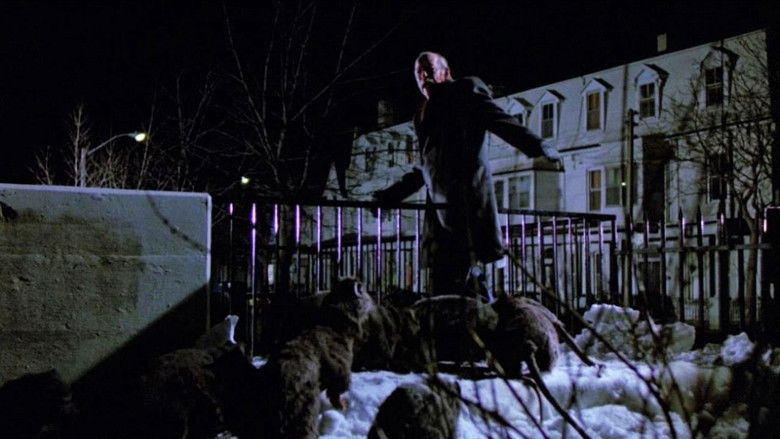 кадр из фильма Крысы