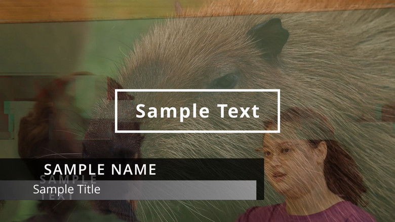 кадр из фильма Aleatorio?