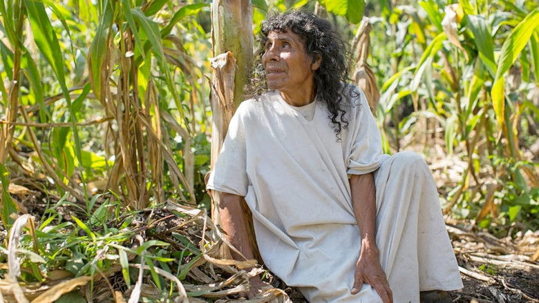 кадр из фильма Song of the Last Lacandon Holy Man