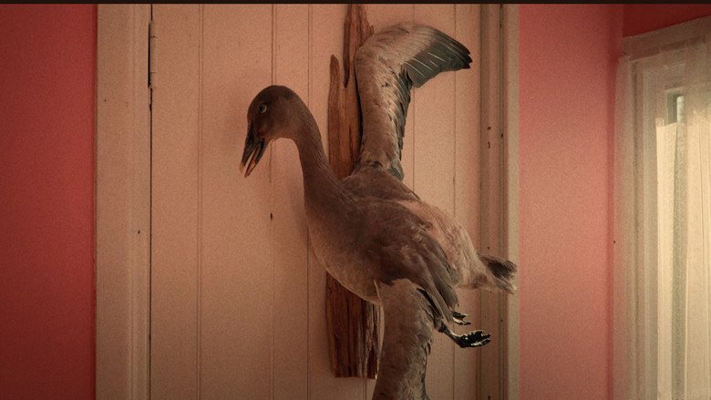 кадр из фильма Cervidé