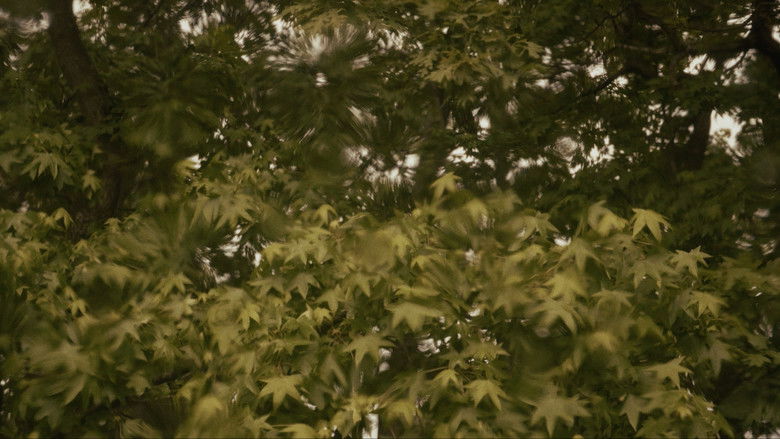 кадр из фильма Toward the Horizon